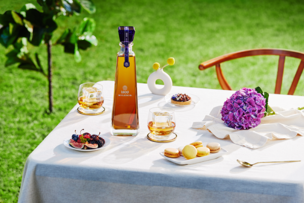 width_800 (16) width_800 (16)