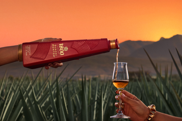 width_800 (24) width_800 (24)