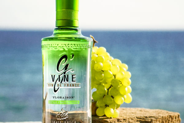 09gvine-cannes-mai-2019 09gvine-cannes-mai-2019