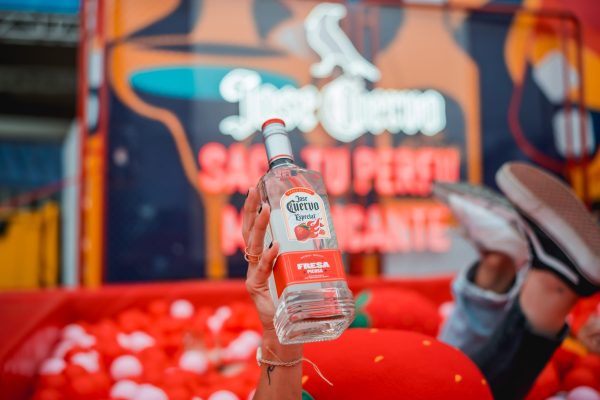 DSC01019 copia DSC01019 copia