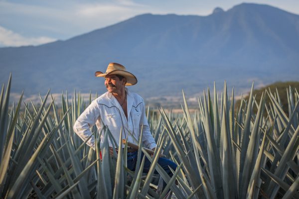 Smiling-Jimador---Photos---Agave-Fields copia Smiling-Jimador---Photos---Agave-Fields copia